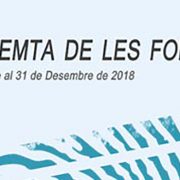 Cartel 'Empremta de les formes V'